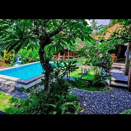 Halumba Eco Villa Bali 特贾库拉 外观 照片